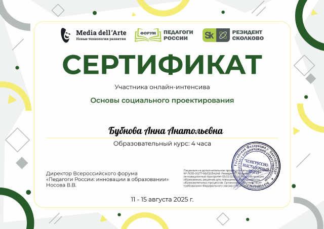 Основы социального проекта 2025г