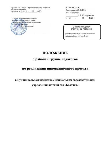 Положение о Рабочей группе по организации РИП