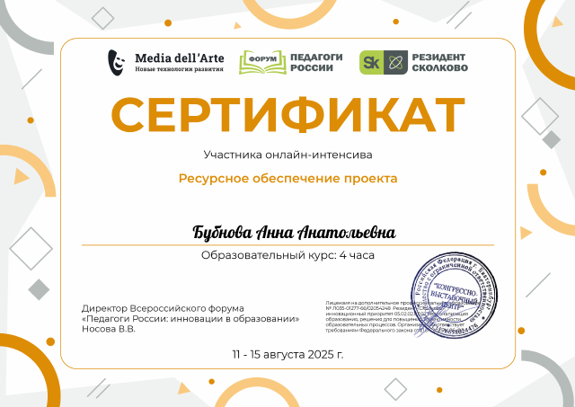 Ресурсное обеспечение проекта 2025г.