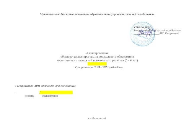 Индивидуальная АОП ребенка 5-6 ЗПР